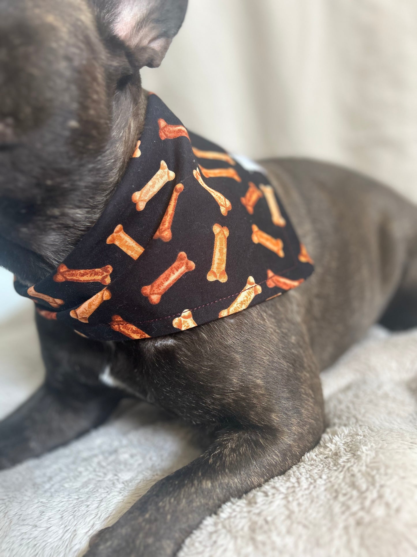 Vintage Pet Bandana-Bone Sophisticate